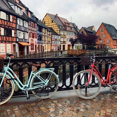 Gites Du Ladhof Colmar Ngoại thất bức ảnh